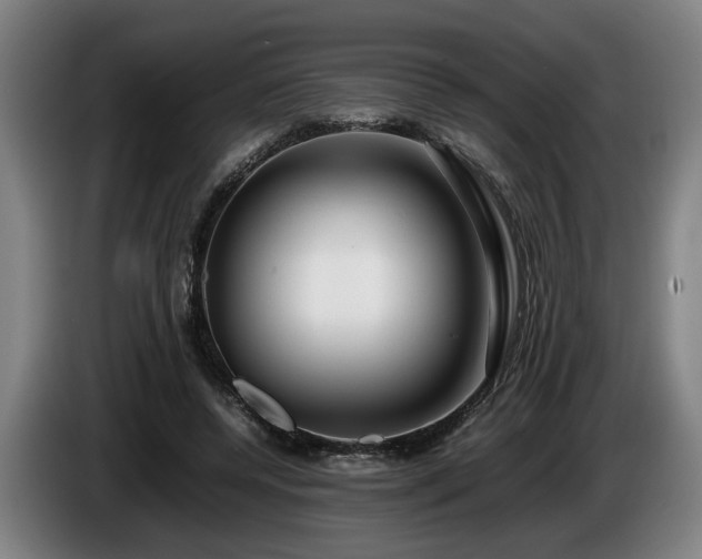 X0000086080544200703301131