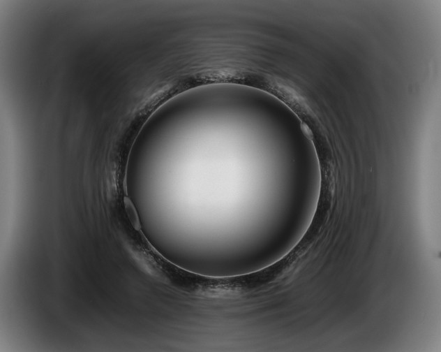 X0000086080546200703301131