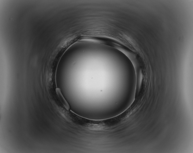 X0000086080548200703301131