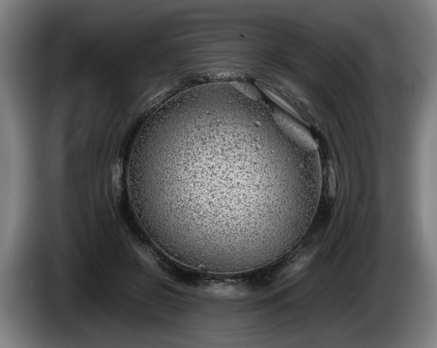 X0000086080550200703301131