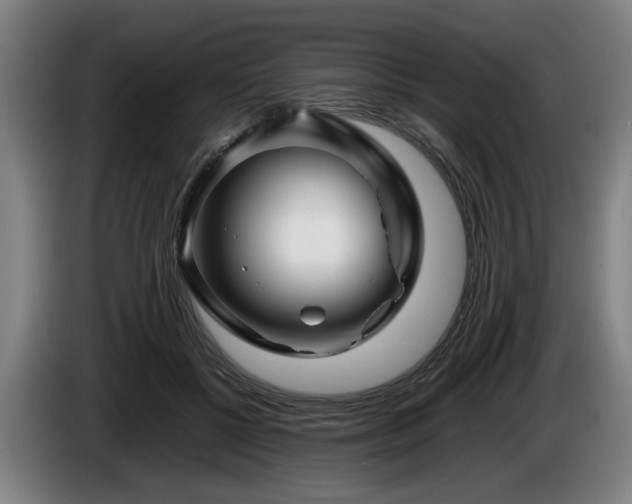 X0000086080552200703301131