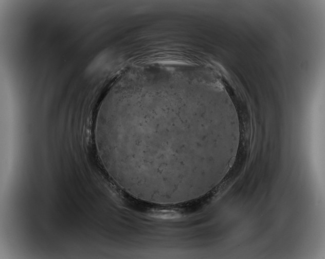 X0000086080553200703301131