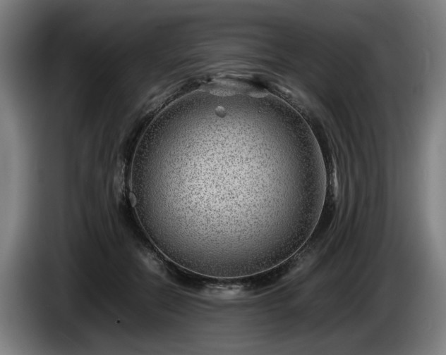 X0000086080554200703301131