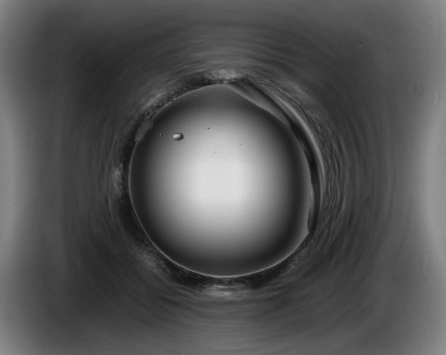 X0000086080556200703301131