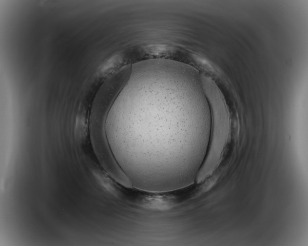 X0000086080558200703301131