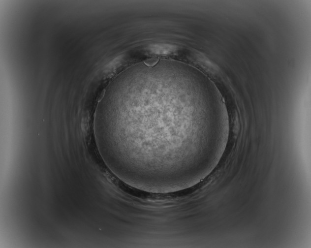 X0000086080559200703301131