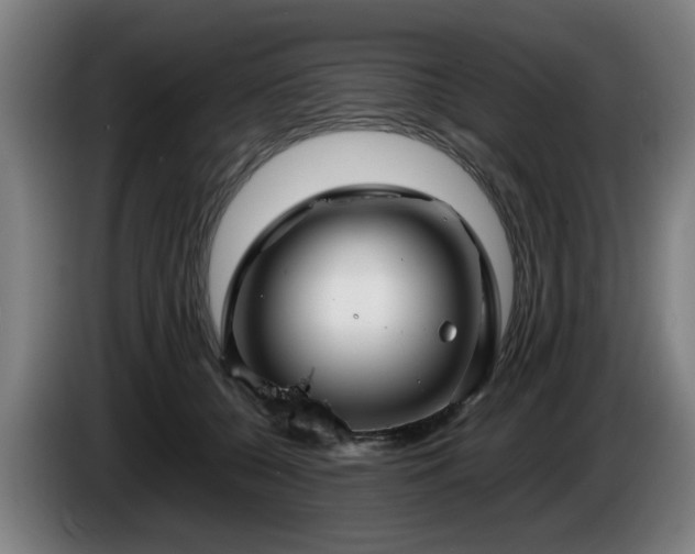 X0000086080560200703301131