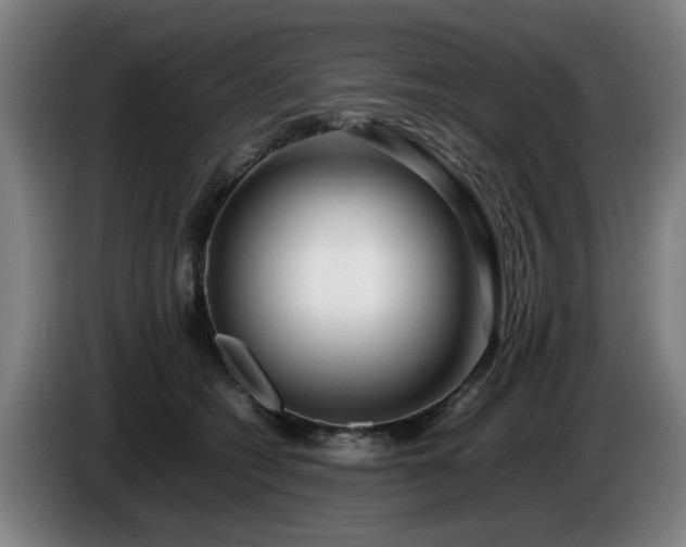 X0000086080562200703301131