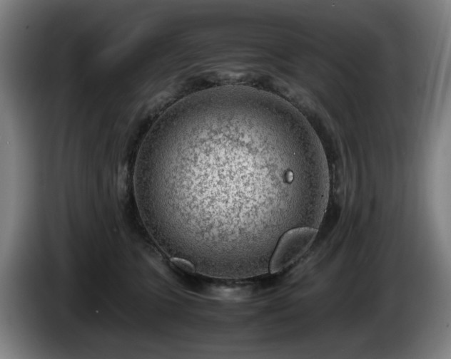 X0000086080563200703301131