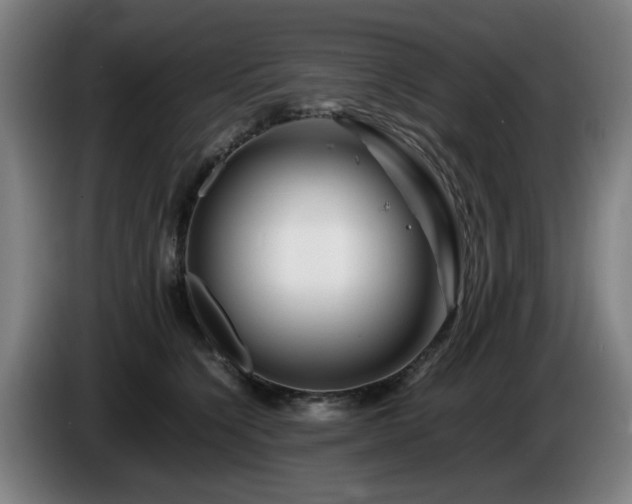 X0000086080564200703301131