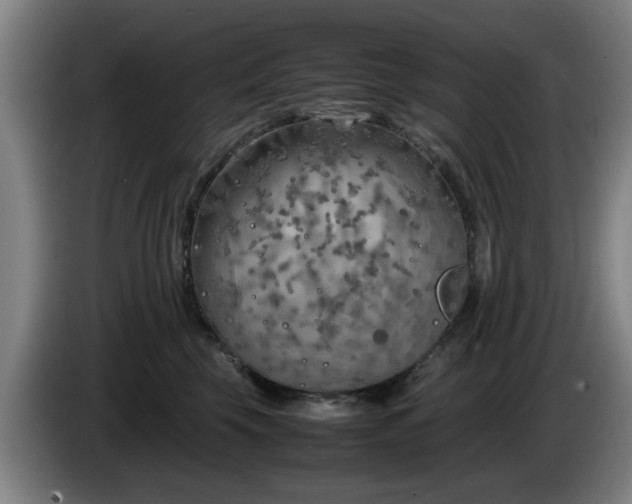 X0000086080569200703301131