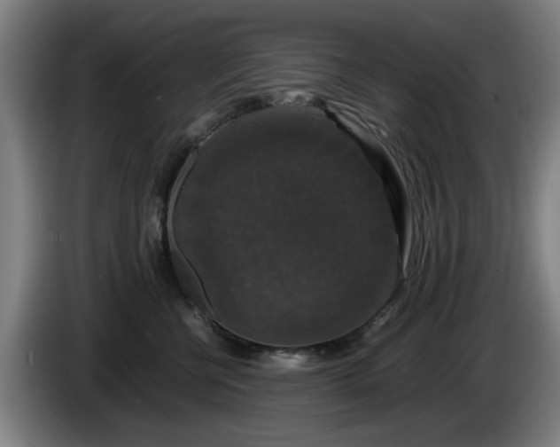 X0000086080570200703301131