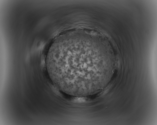 X0000086080573200703301131