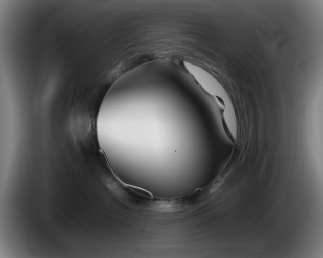 X0000086080574200703301131