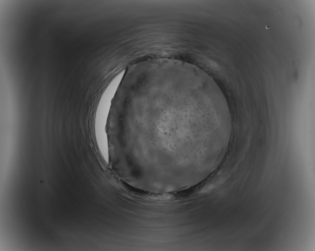 X0000086080576200703301131