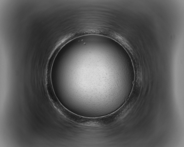 X0000086080578200703301131