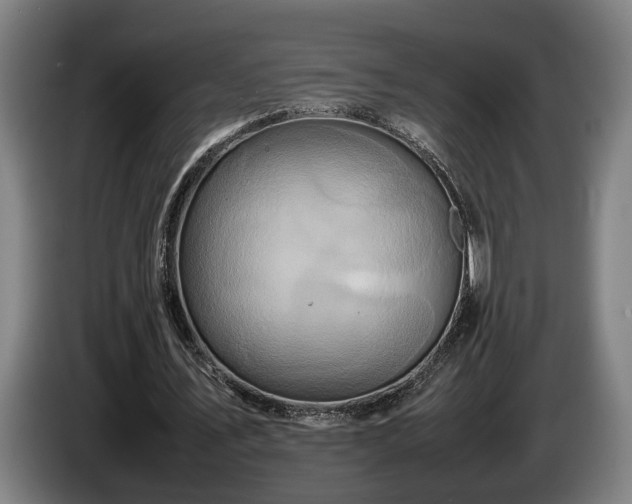 X0000086080579200703301131