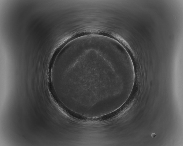 X0000086080581200703301130