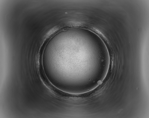 X0000086080582200703301130