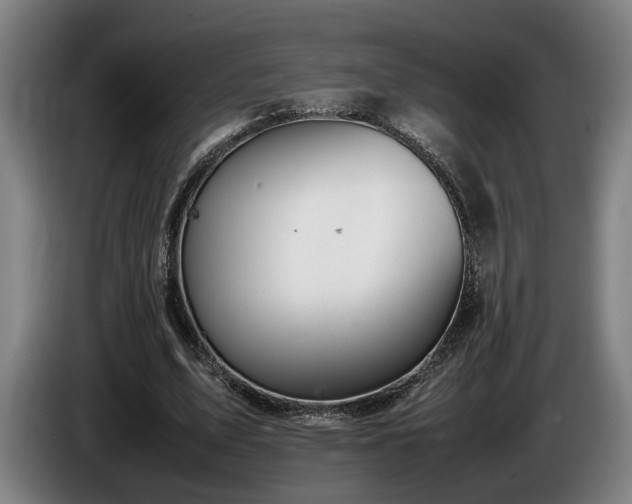 X0000086080583200703301130