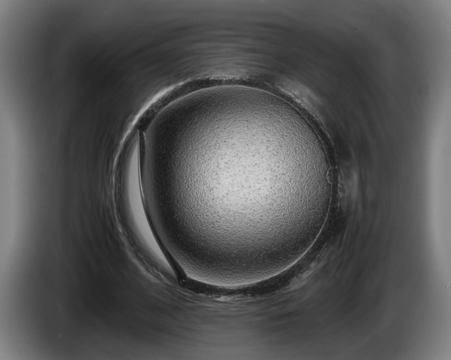 X0000086080584200703301130