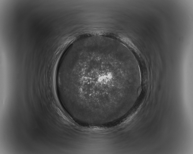 X0000086080585200703301130