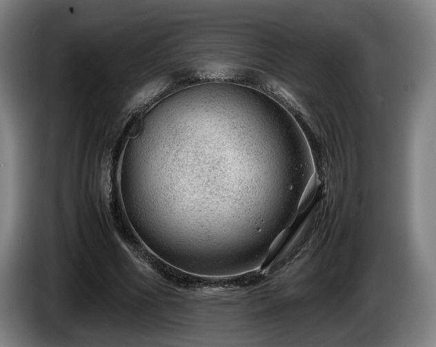 X0000086080586200703301130