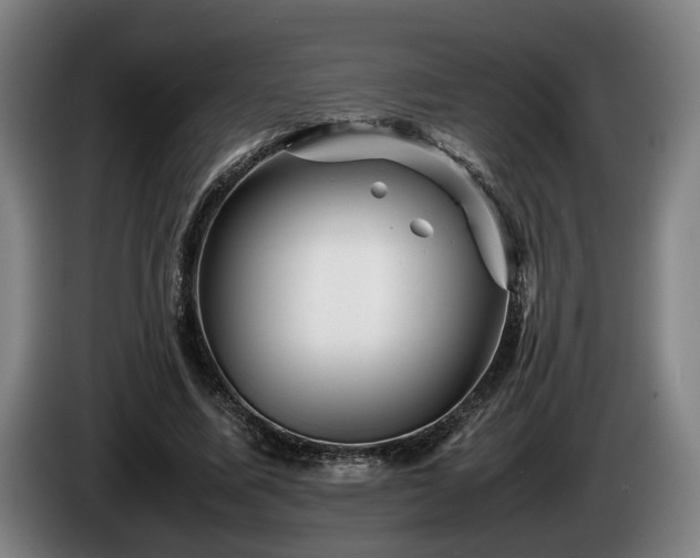 X0000086080587200703301130