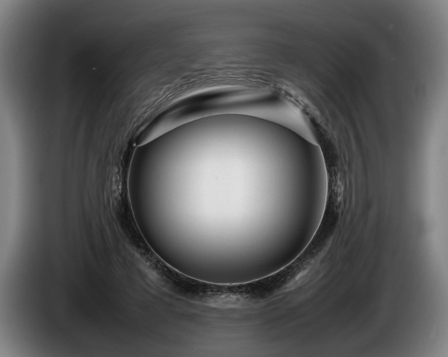 X0000086080593200703301130