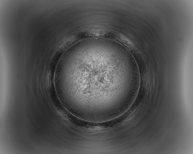 X0000086080594200703301130