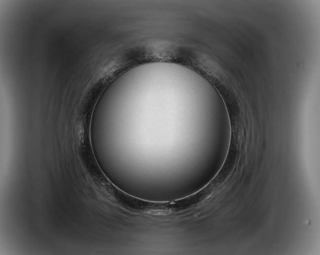 X0000086080595200703301130