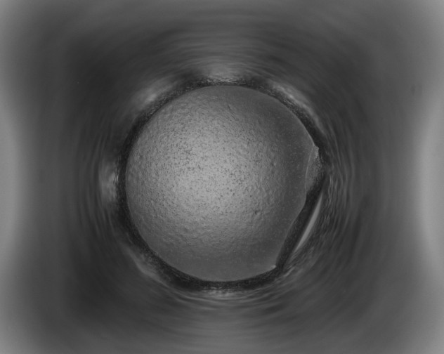 X0000086080596200703301130