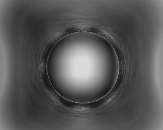 X0000086080597200703301130