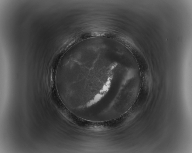 X0000086080598200703301130