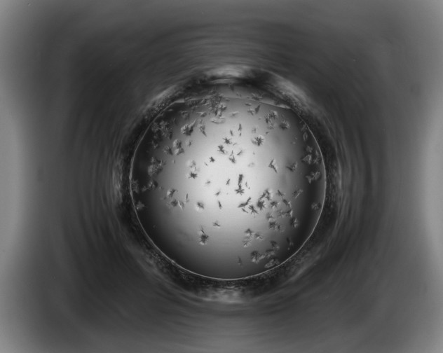 X0000086080600200703301130