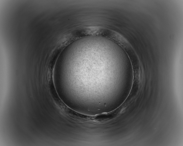 X0000086080602200703301130