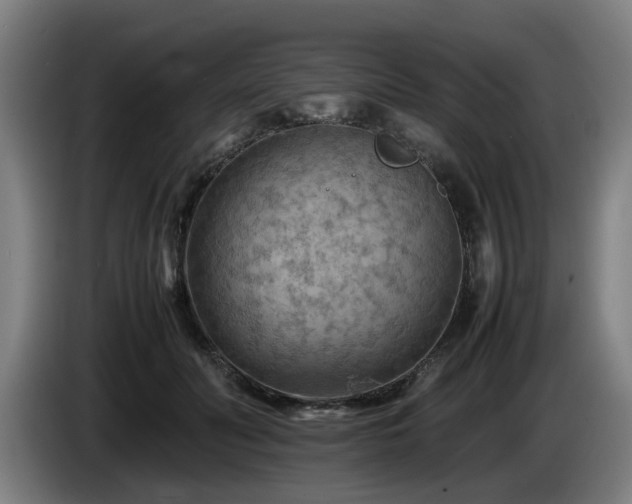 X0000086080606200703301130