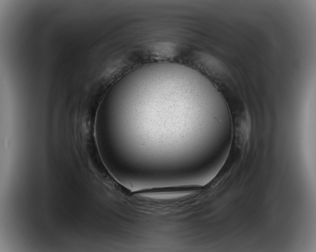 X0000086080608200703301130