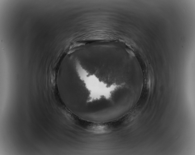 X0000086080610200703301130