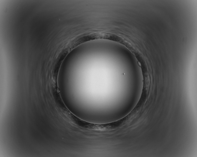 X0000086080613200703301130