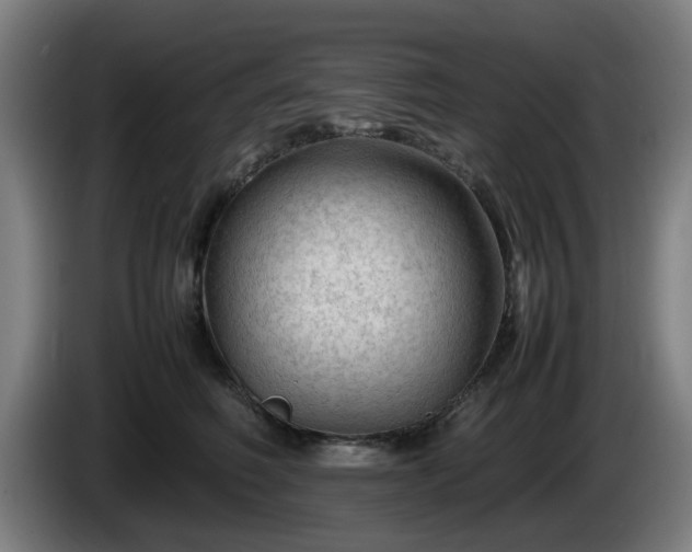 X0000086080614200703301130