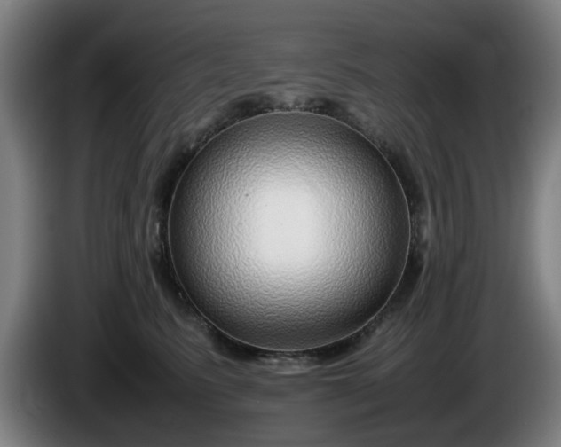 X0000086080615200703301130