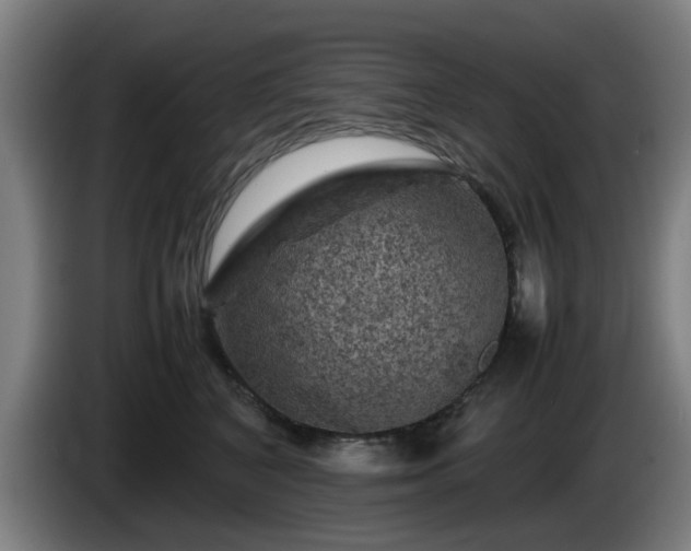 X0000086080616200703301130