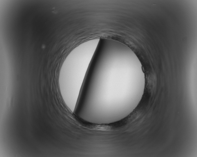 X0000086080617200703301130