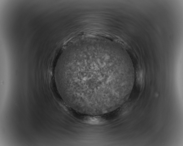 X0000086080618200703301130