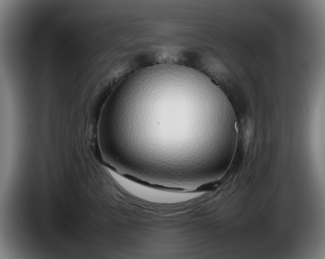 X0000086080619200703301130