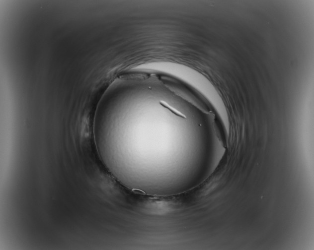 X0000086080620200703301130