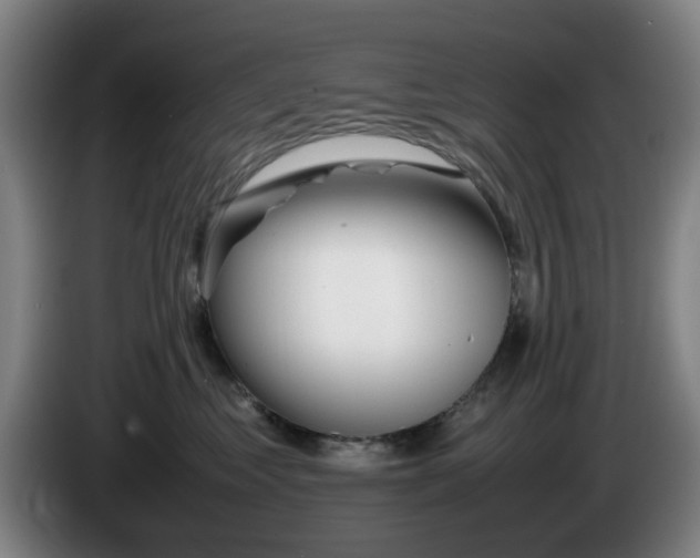 X0000086080621200703301130