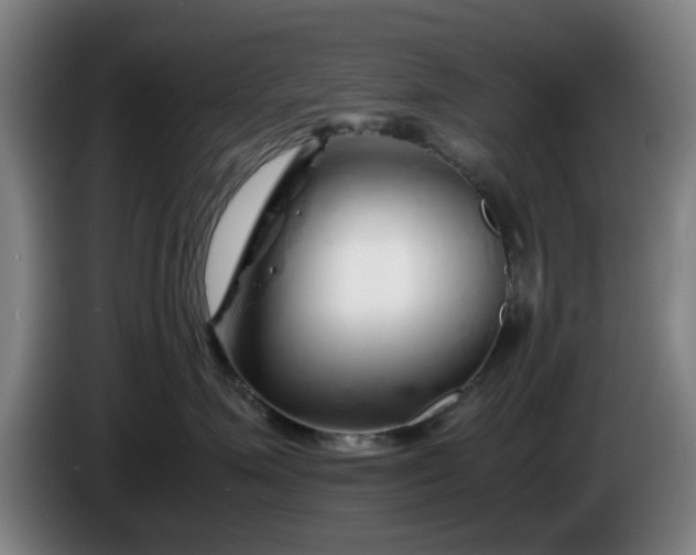 X0000086080623200703301130