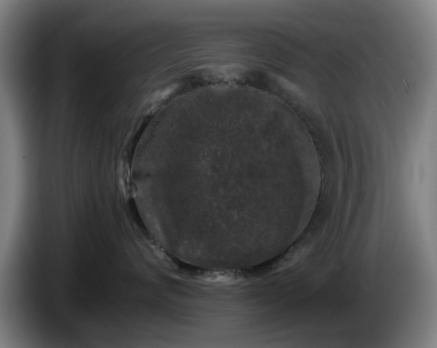 X0000086080624200703301130